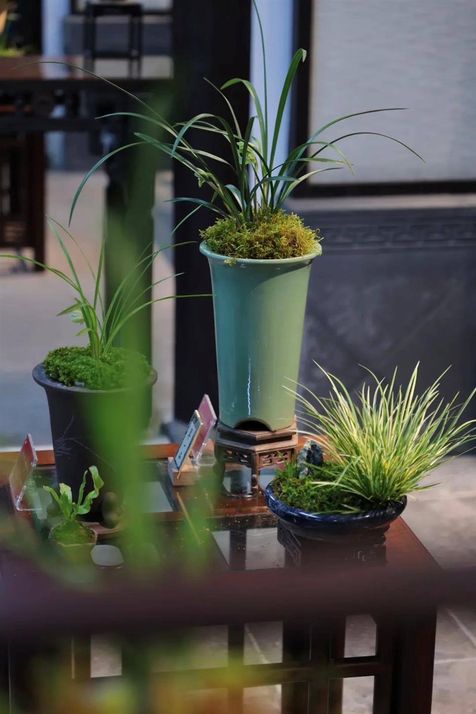 三大会场同开!上海这个展够雅