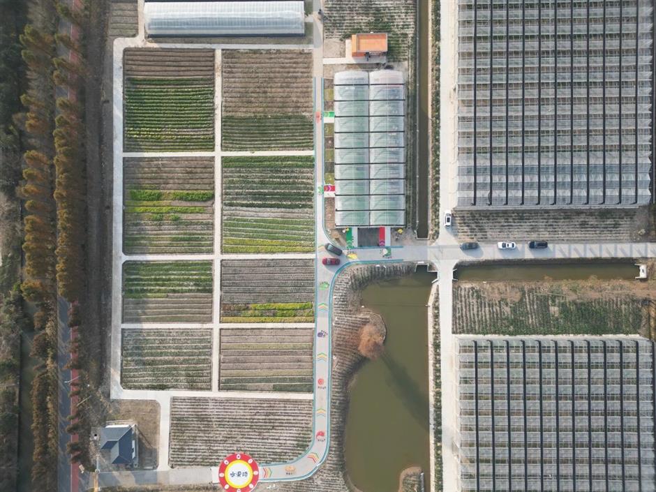 Profitez du printemps! Ce parc naturel est un océan de fleurs de prunier en pleine floraison.