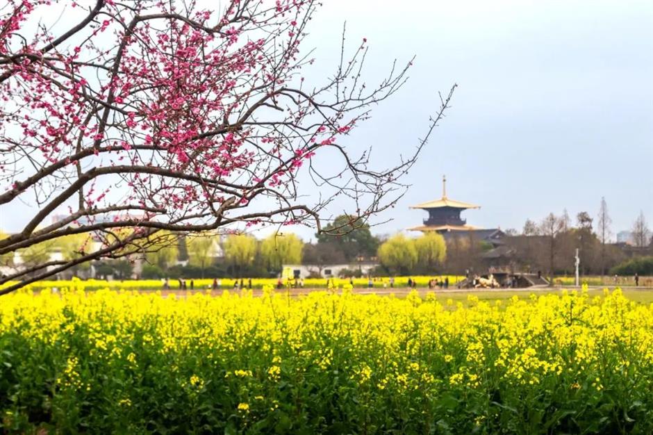 看日出、賞花開、數星星......別錯過這等好景~