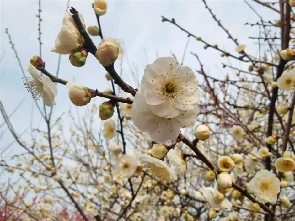 看日出、賞花開、數星星......別錯過這等好景~