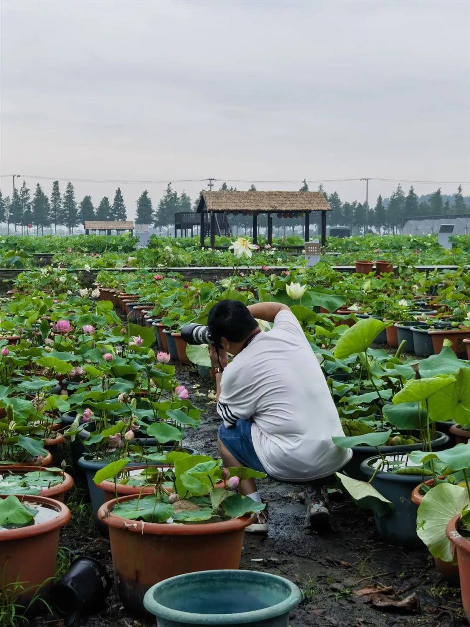 看日出、賞花開、數星星......別錯過這等好景~