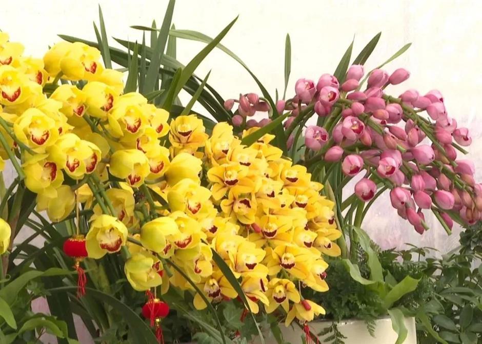 看日出、賞花開、數星星......別錯過這等好景~