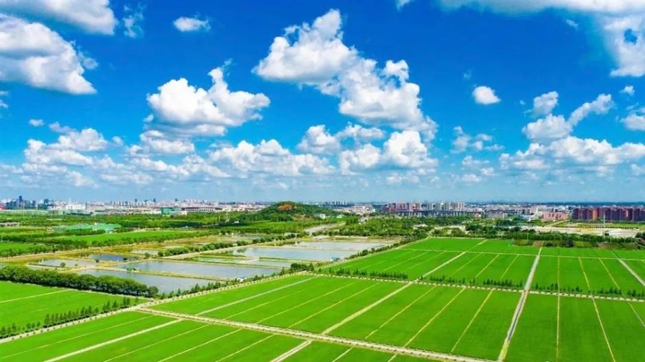 看日出、賞花開、數星星......別錯過這等好景~