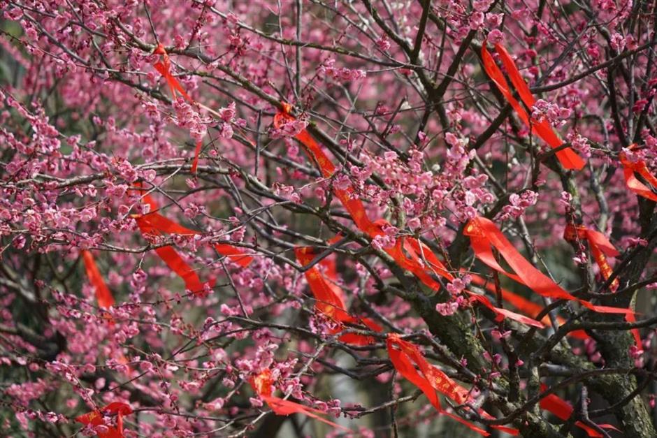 免费!半价!上海各景点妇女节福利大放送
