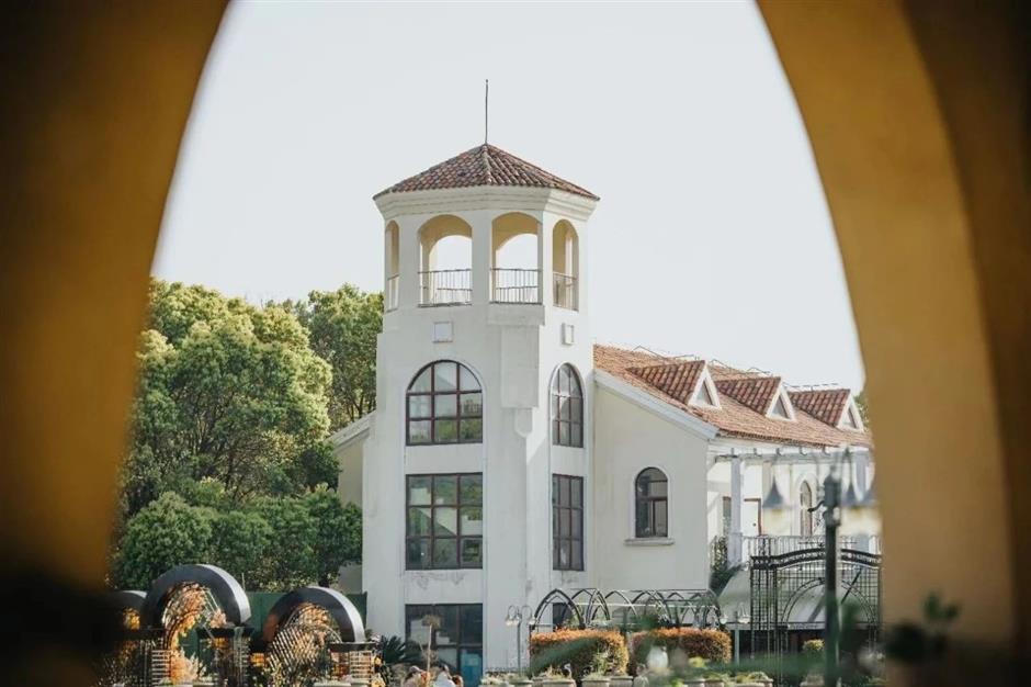 2025上海樱花节来了!赏花攻略收好