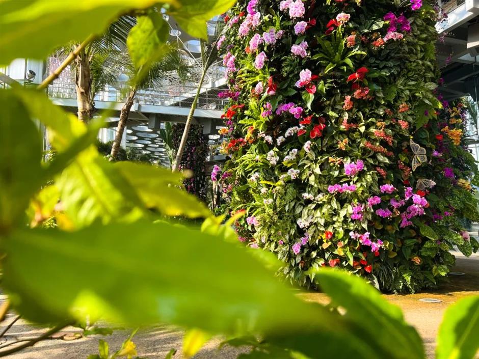 免费!半价!上海各景点妇女节福利大放送