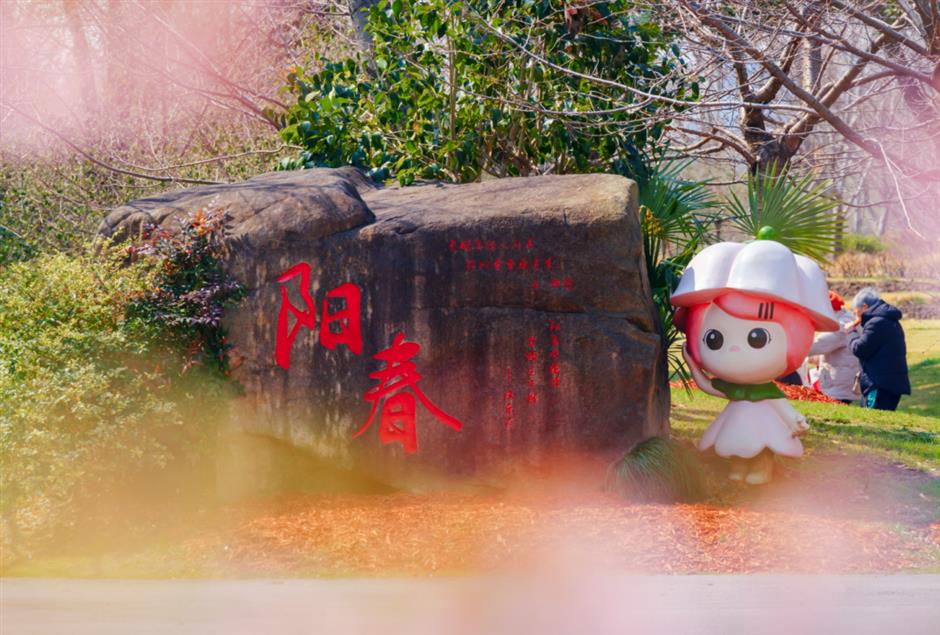 2025上海樱花节来了!赏花攻略收好