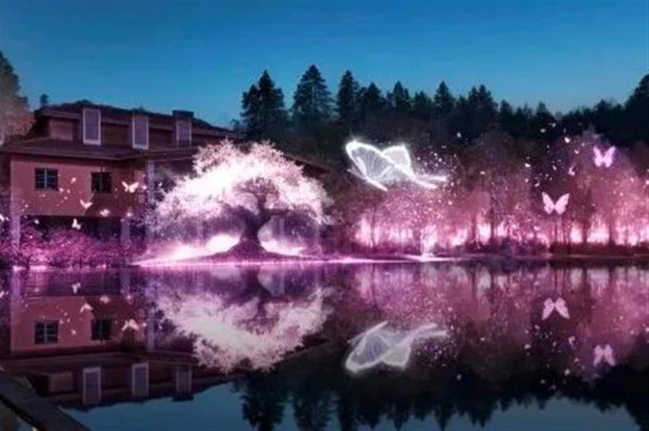 2025上海樱花节来了!赏花攻略收好