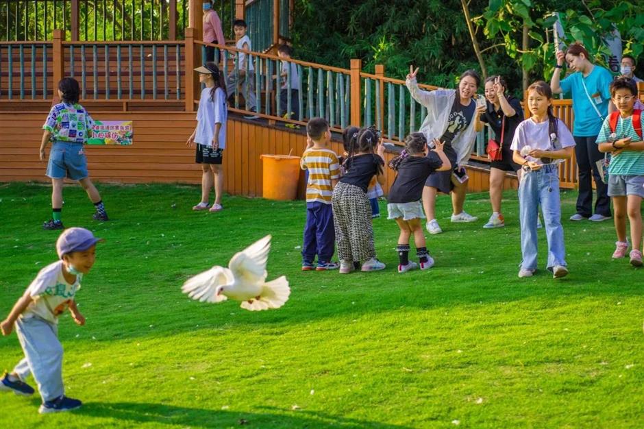 2025上海樱花节来了!赏花攻略收好