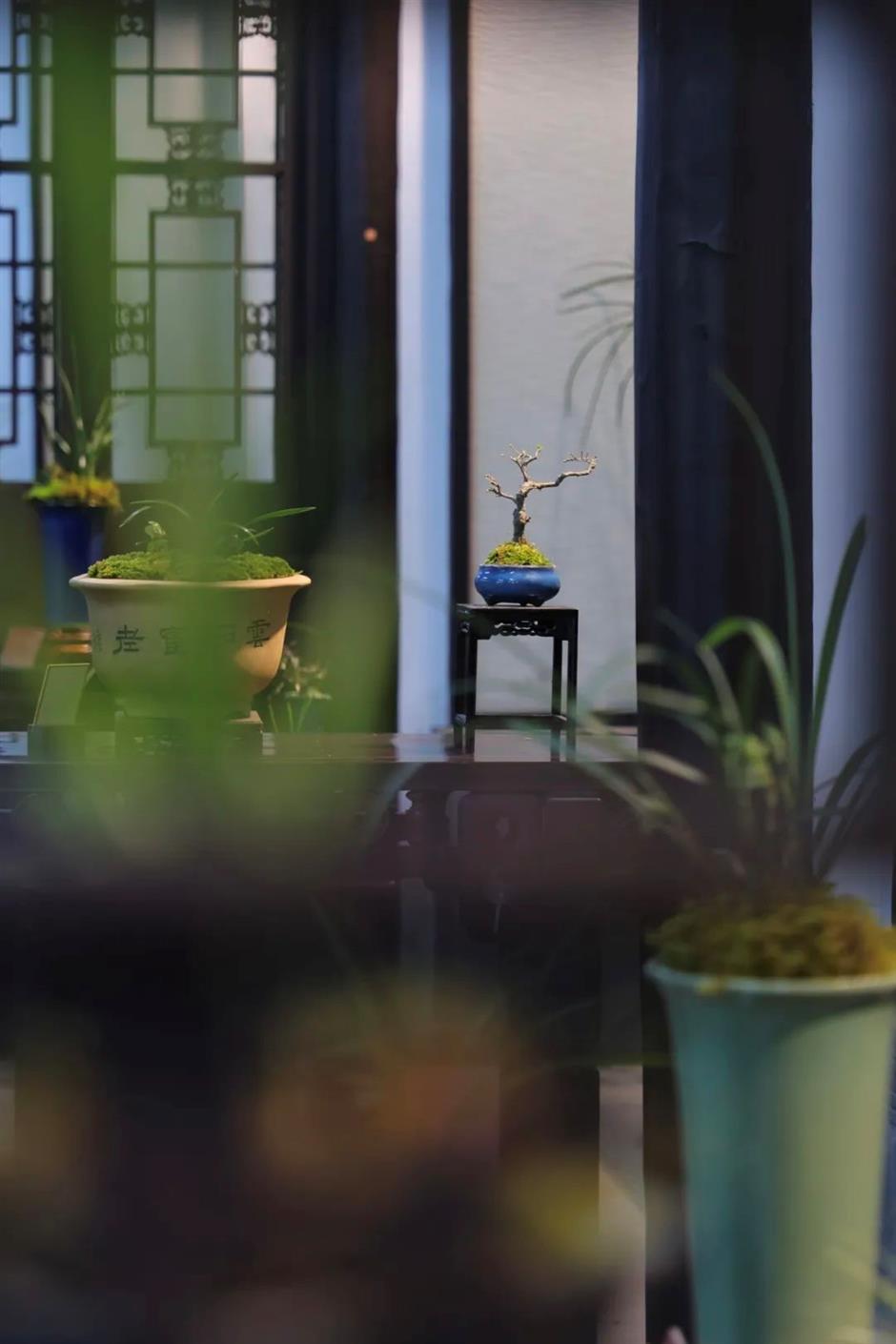 免费!半价!上海各景点妇女节福利大放送