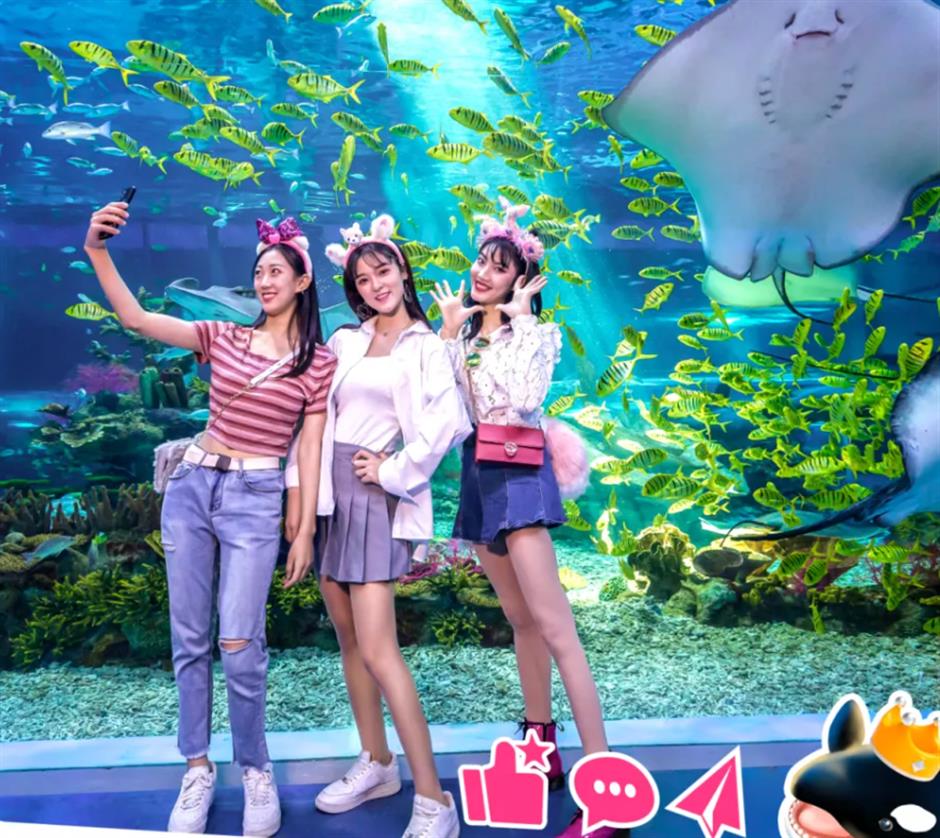 免费!半价!上海各景点妇女节福利大放送