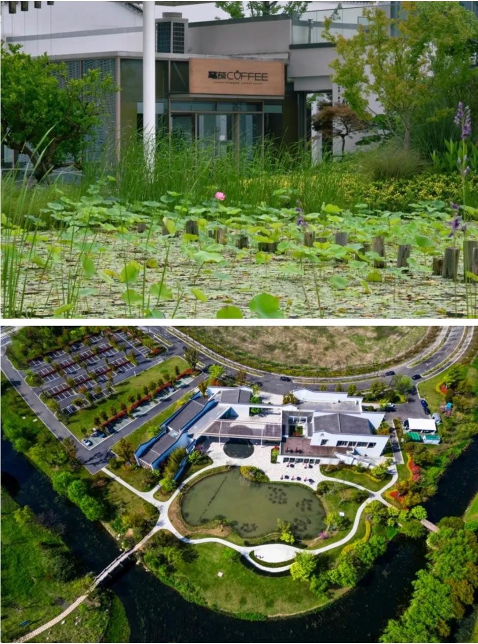 这条滨水线已开通!23公里,骑行友好,景色封神