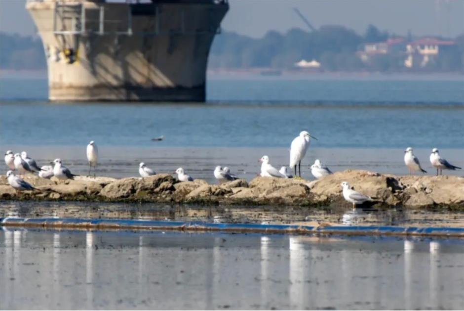 这条滨水线已开通!23公里,骑行友好,景色封神