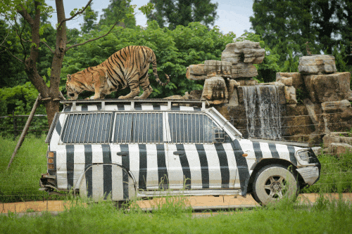 必玩!上海上榜17個,還有哪個你沒去過?