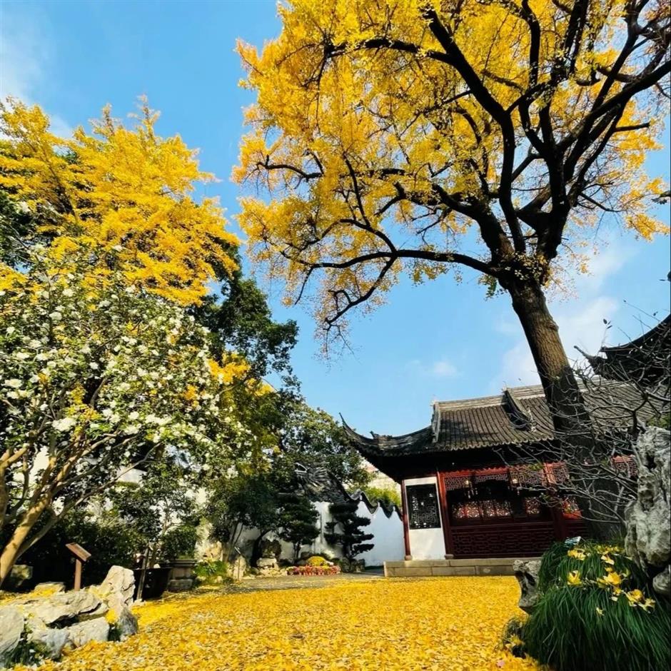 必玩!上海上榜17個,還有哪個你沒去過?