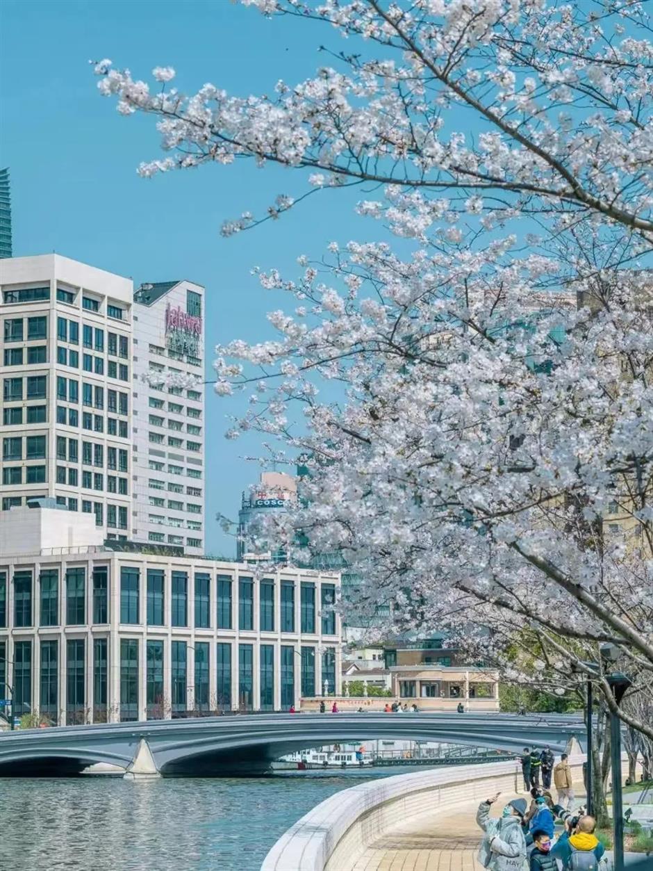 Short and sweet: Two new Suzhou Creek cruise routes launched