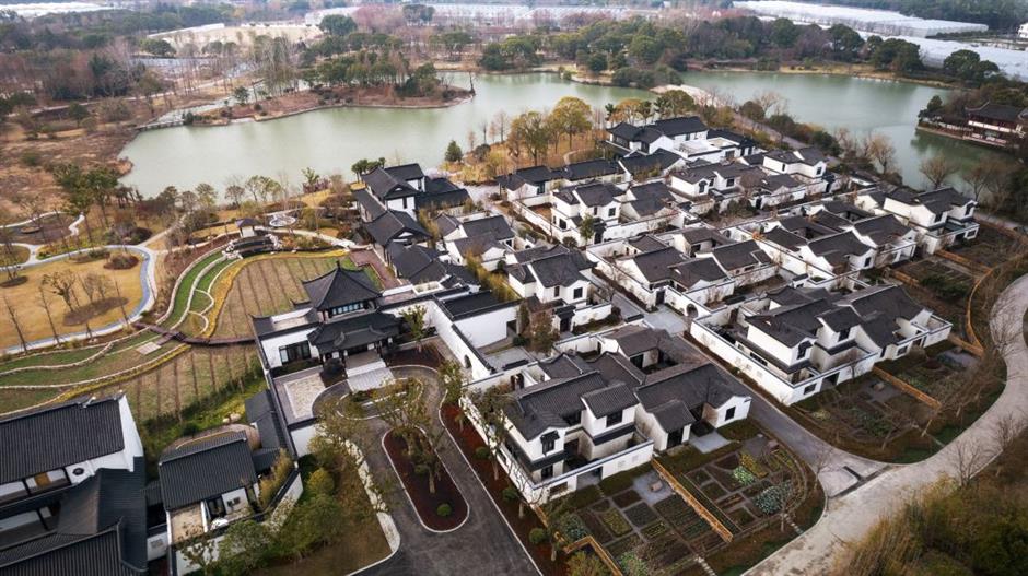 2025年上海汽車文化節來了~
亮點先睹為快!