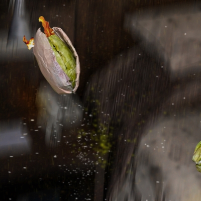 3 city shows, 3 varied artists as Fotografiska welcomes spring