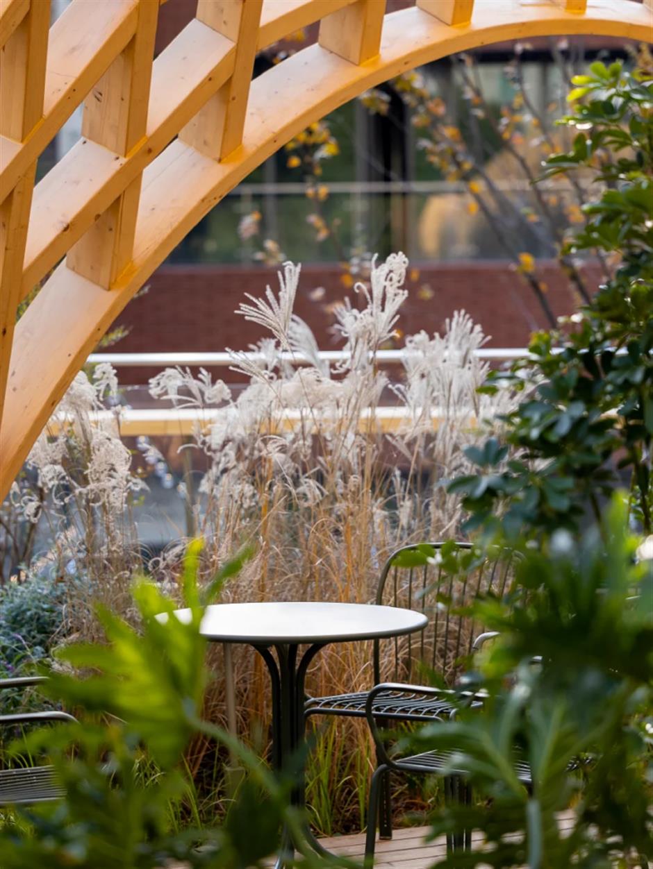 魔都又添一座4.3万㎡高颜值打卡地!潮流商场自带绝美后花园→