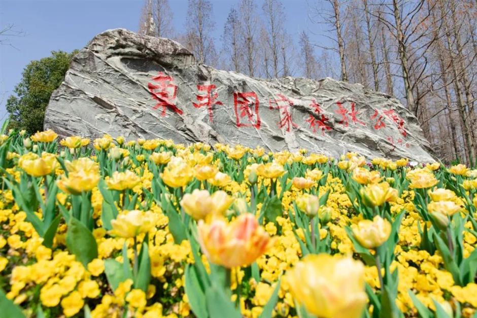 去沪郊撒欢,一键开启春日 