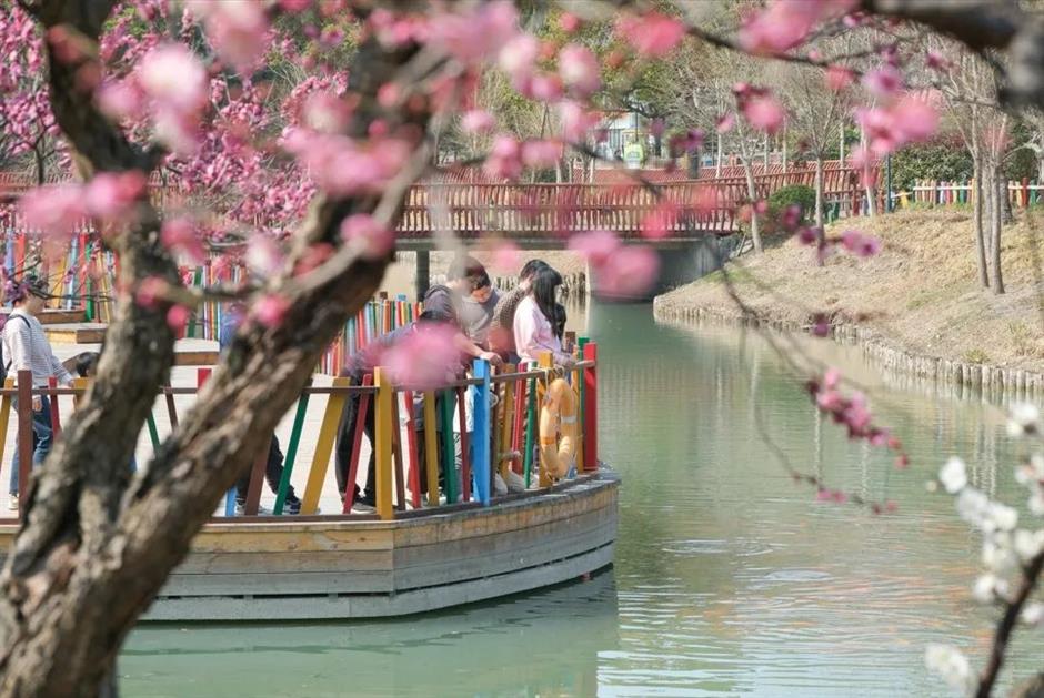 去沪郊撒欢,一键开启春日 