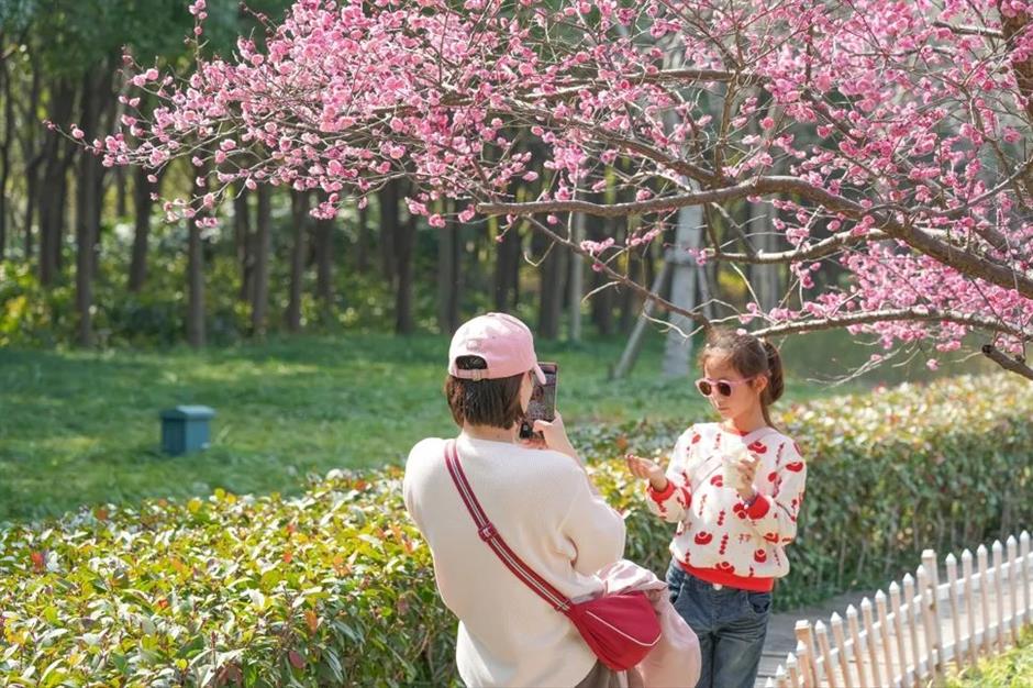 去沪郊撒欢,一键开启春日 
