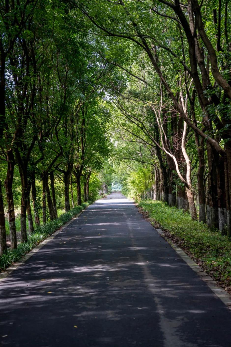 去沪郊撒欢,一键开启春日 