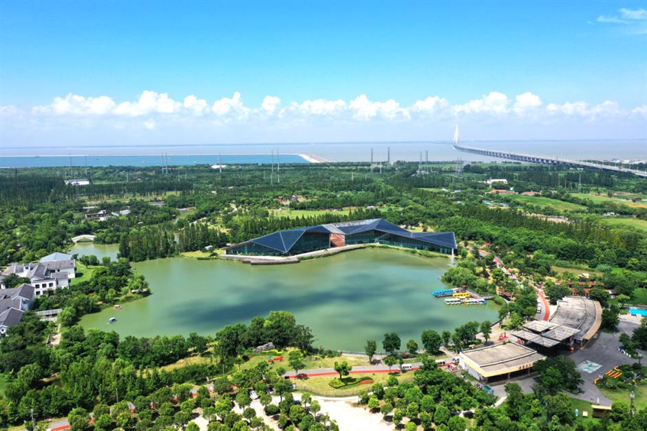 想看江南造船嗎? 實地很震撼的那種~