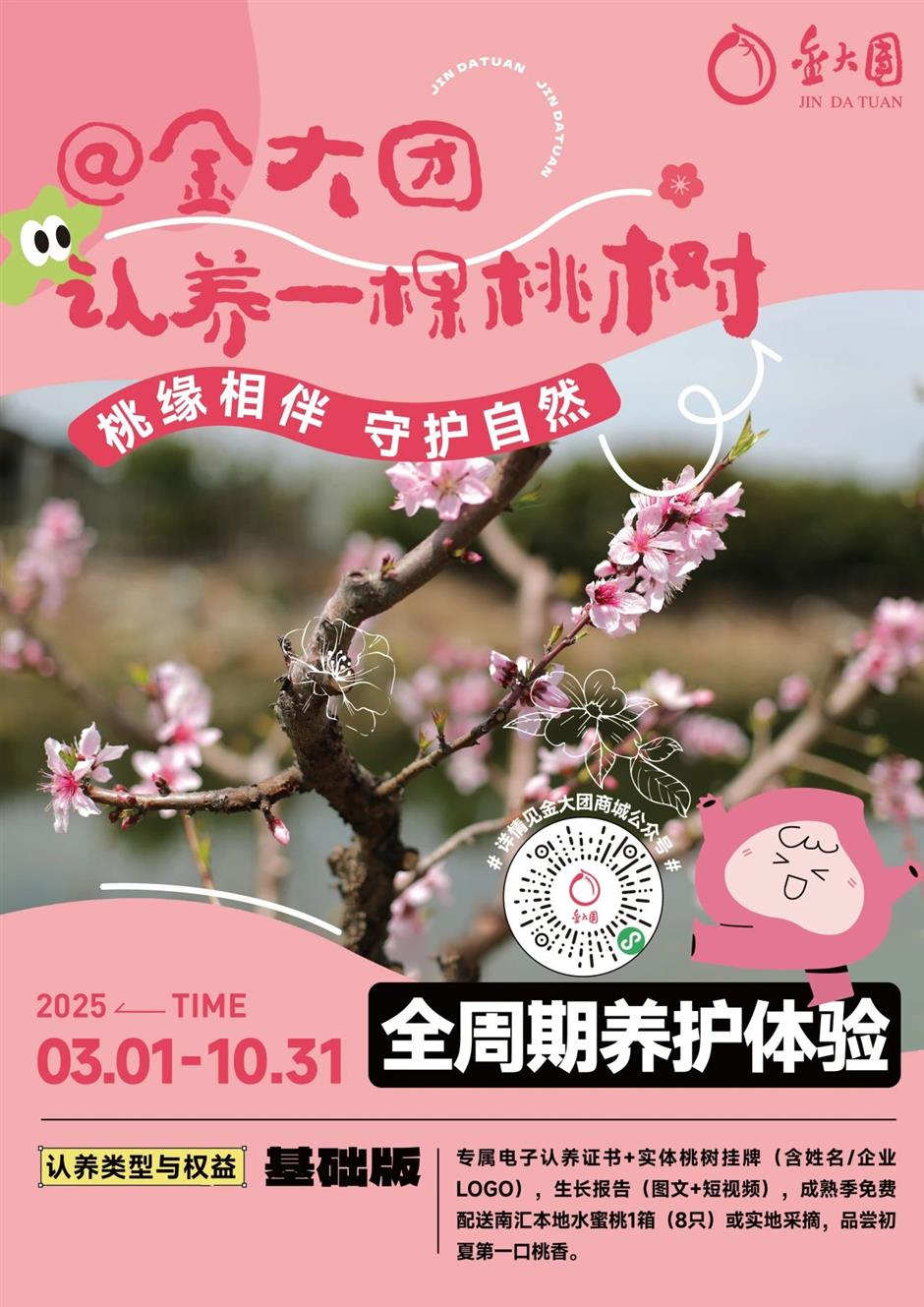 认养一棵桃树,三种模式任你挑选