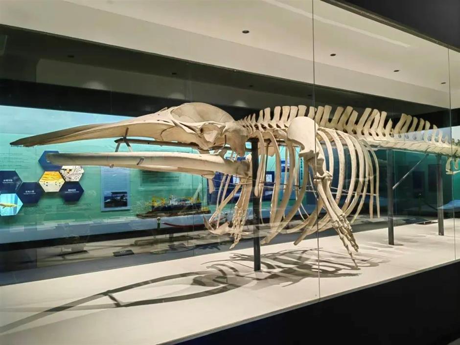 想看江南造船嗎? 實地很震撼的那種~