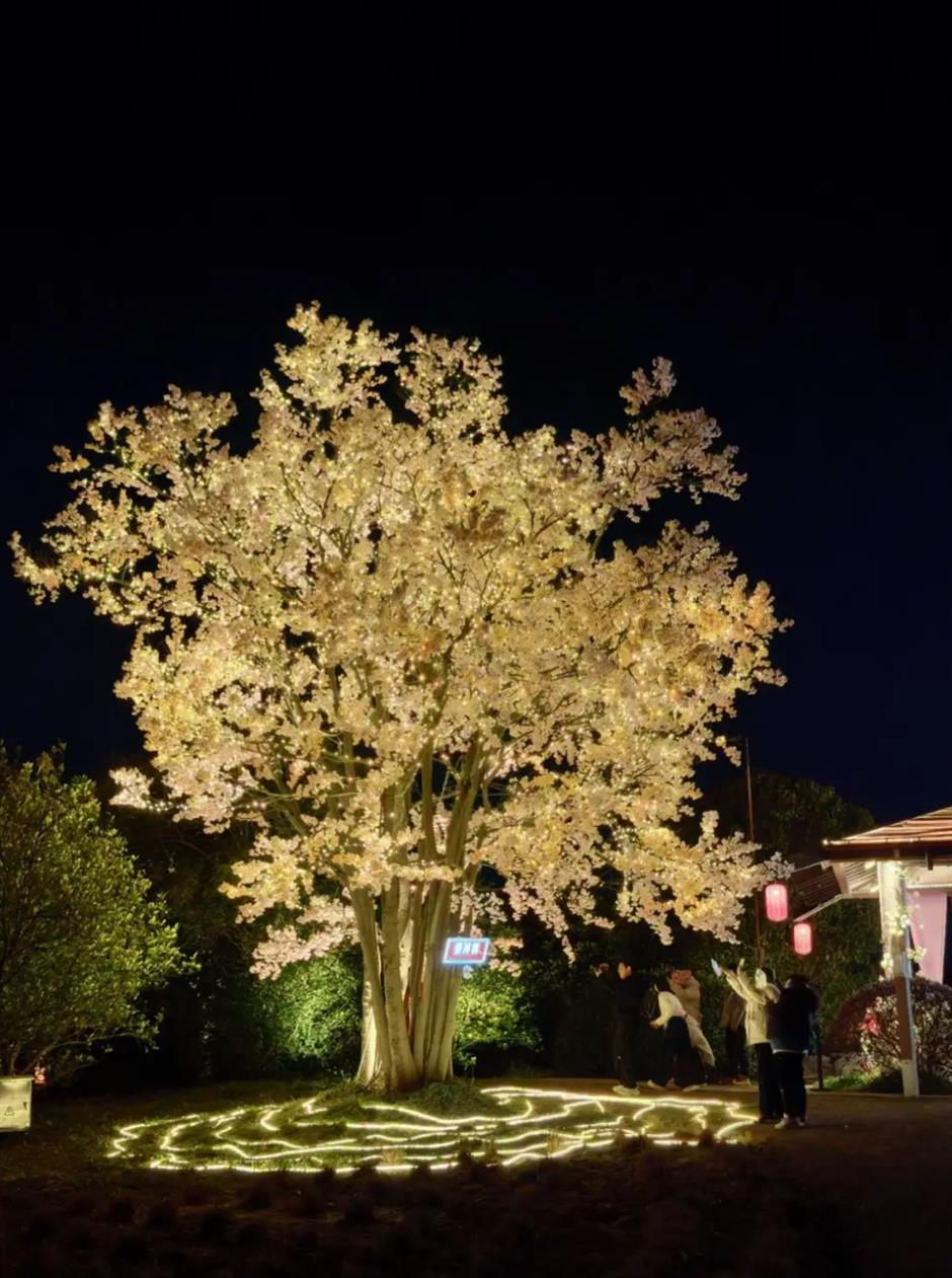 16万㎡!魔都首个,即将爆火!