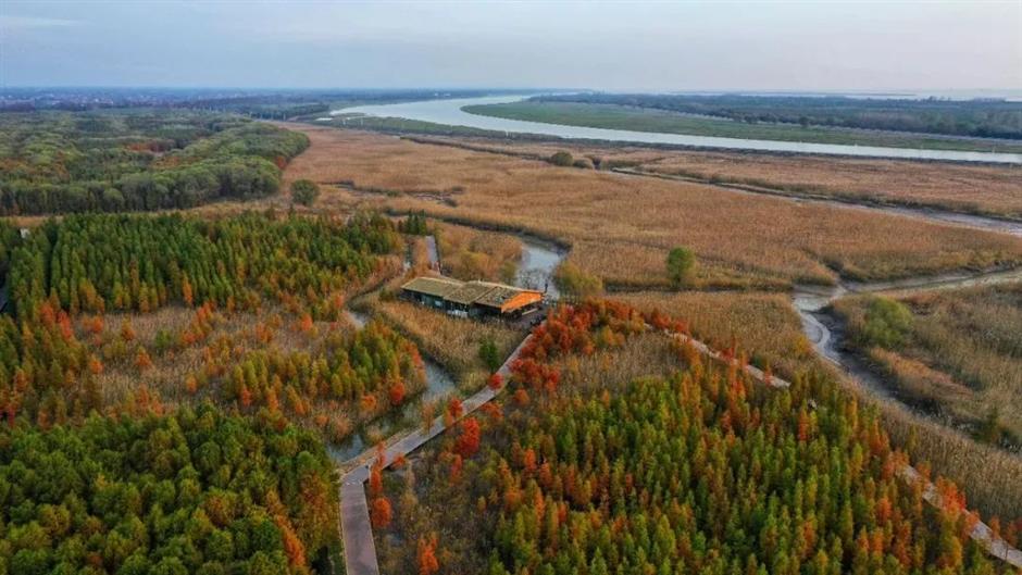 上新!魔都春日限时活动来袭!