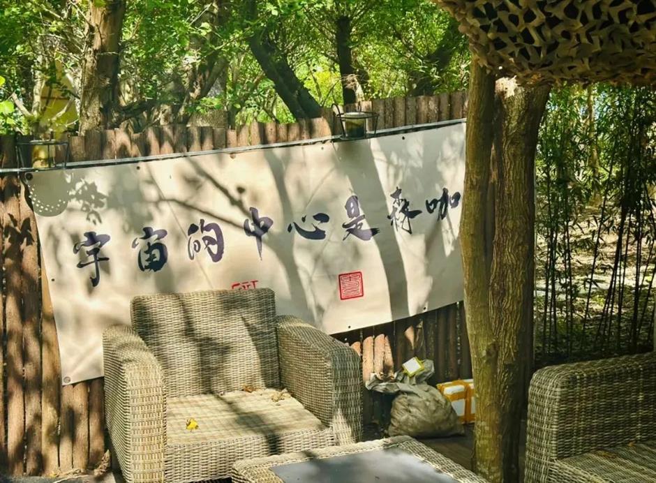 解锁春日松弛感,在乡野间邂逅宝藏