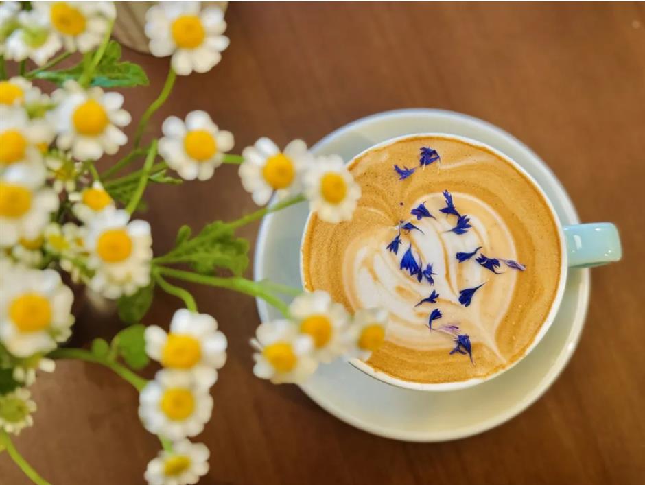 解锁春日松弛感,在乡野间邂逅宝藏