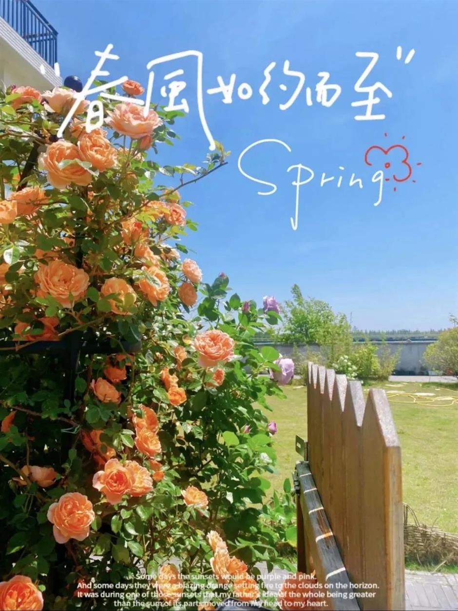 解锁春日松弛感,在乡野间邂逅宝藏