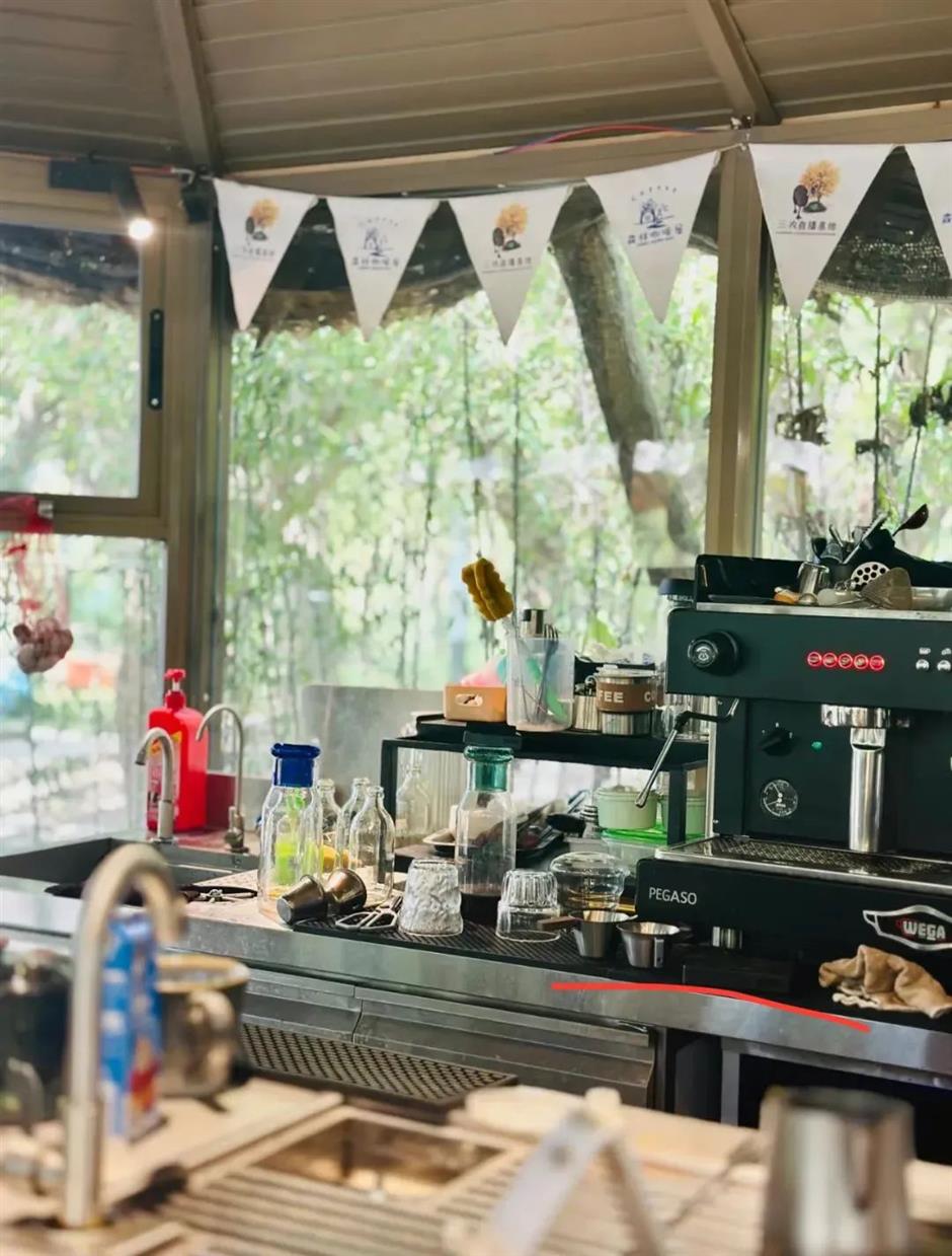 解锁春日松弛感,在乡野间邂逅宝藏