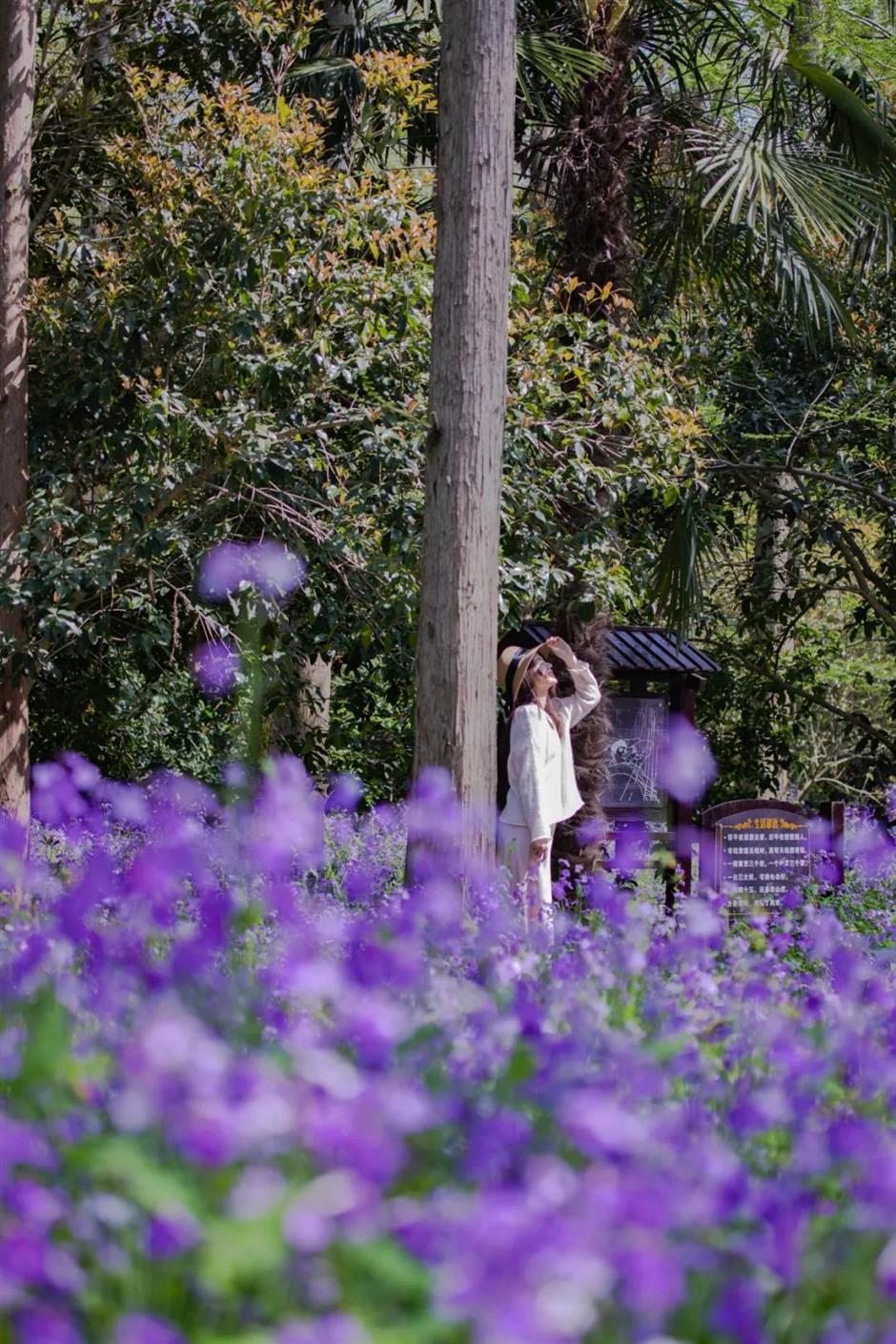 上新!魔都春日限时活动来袭!