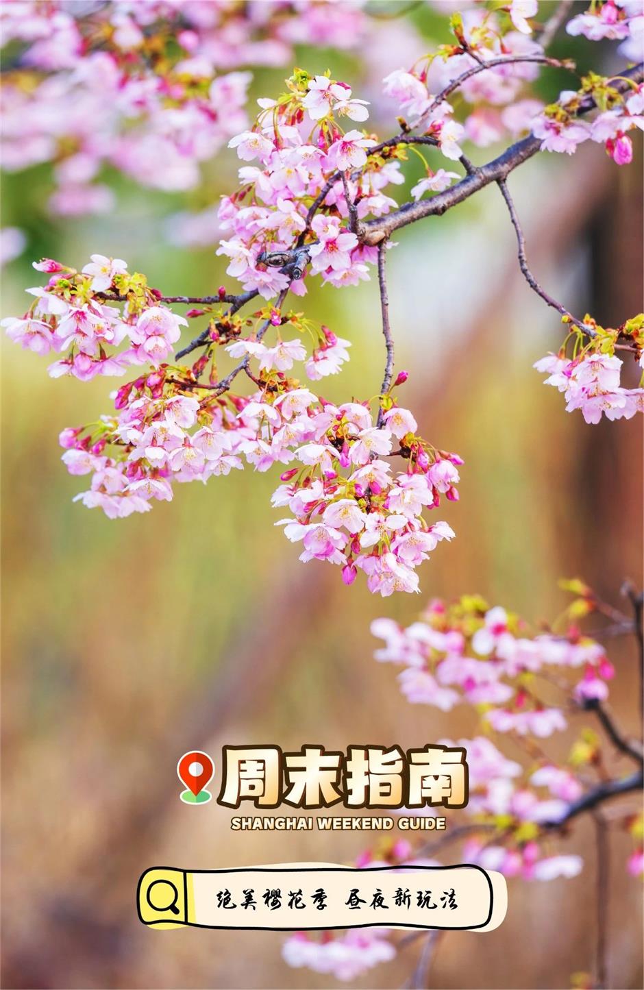 16万㎡!魔都首个,即将爆火!