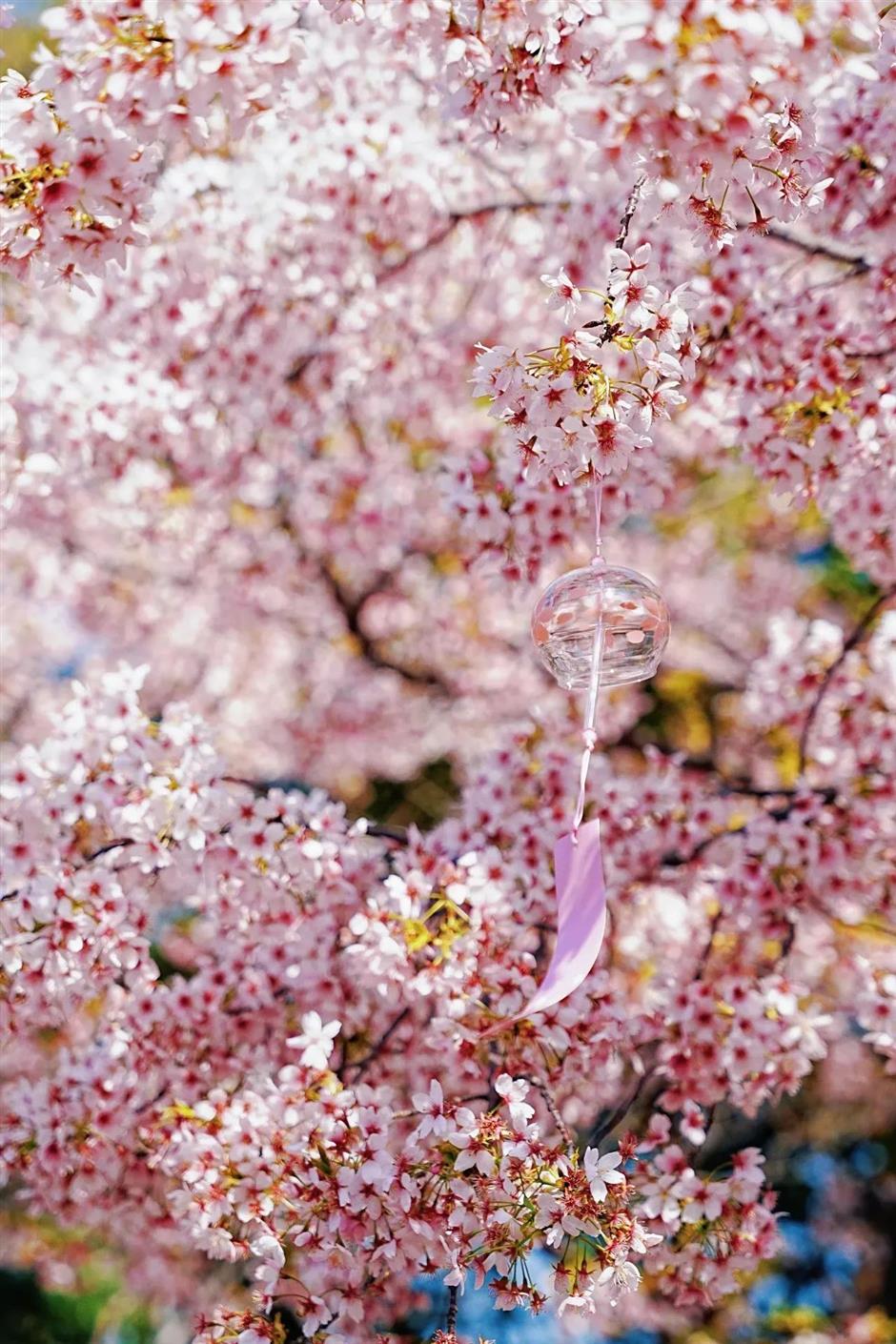 16万㎡!魔都首个,即将爆火!