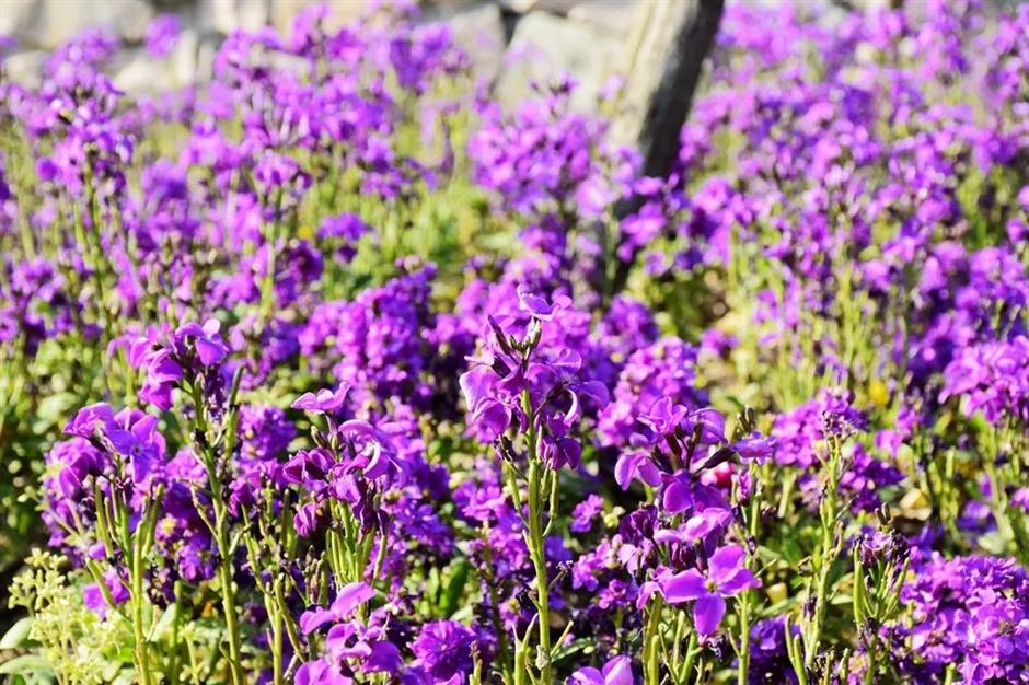 解锁春日松弛感,在乡野间邂逅宝藏