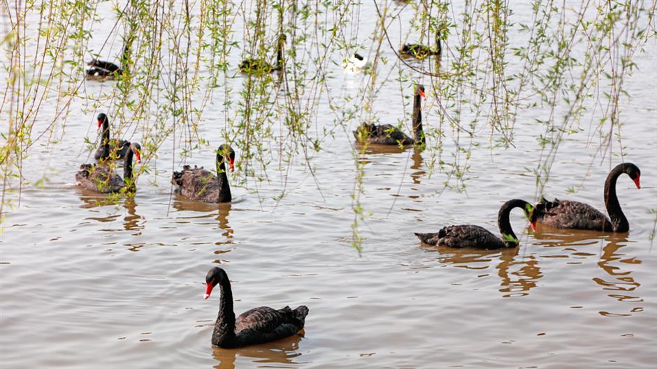 上新!魔都春日限时活动来袭!