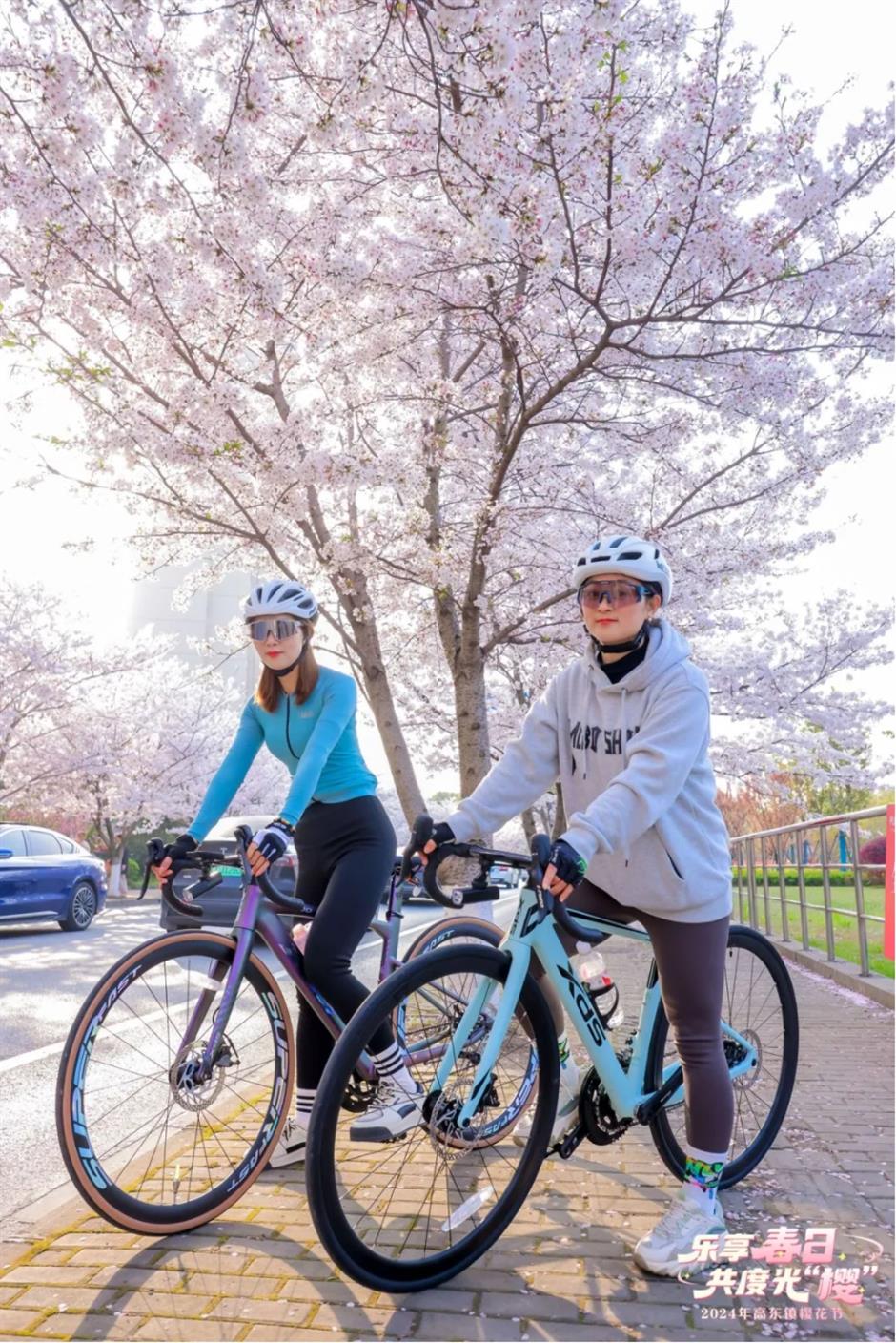 最美賞櫻遊玩路線來了,還有隱藏玩法