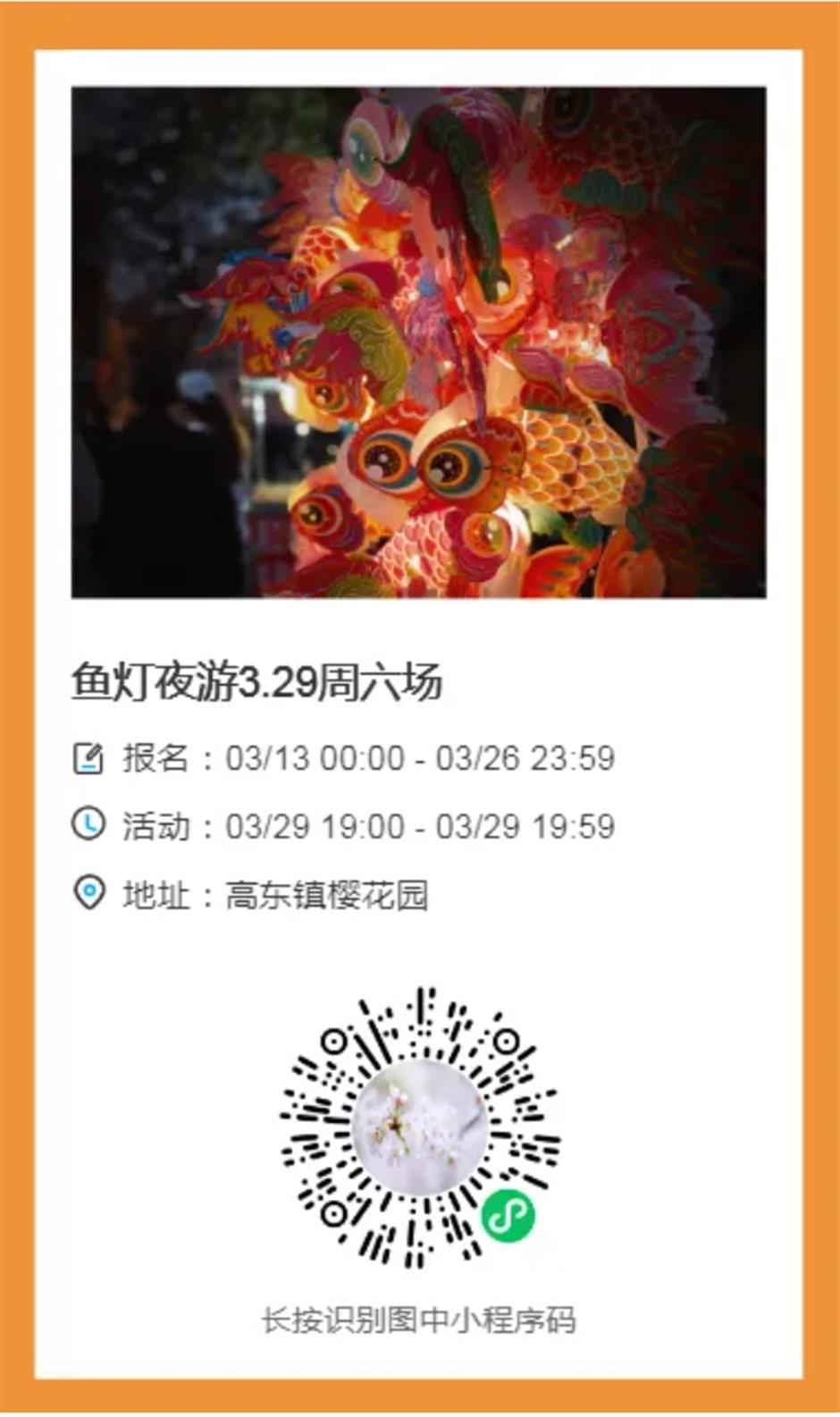 最美賞櫻遊玩路線來了,還有隱藏玩法