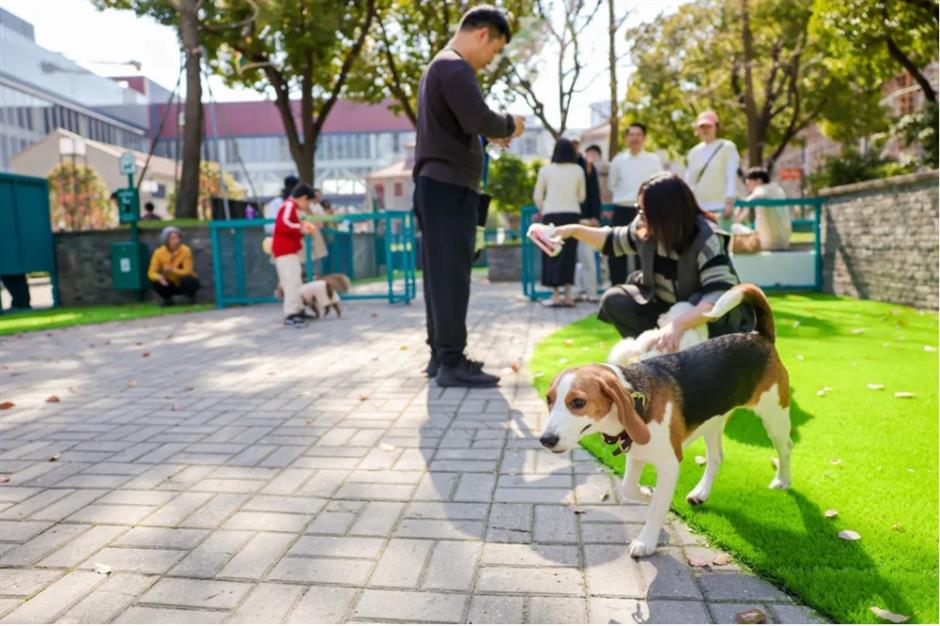 上海再添宠物友好街区!百年弄堂变身