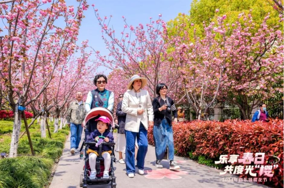 最美賞櫻遊玩路線來了,還有隱藏玩法