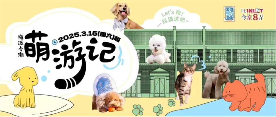 上海再添宠物友好街区!百年弄堂变身