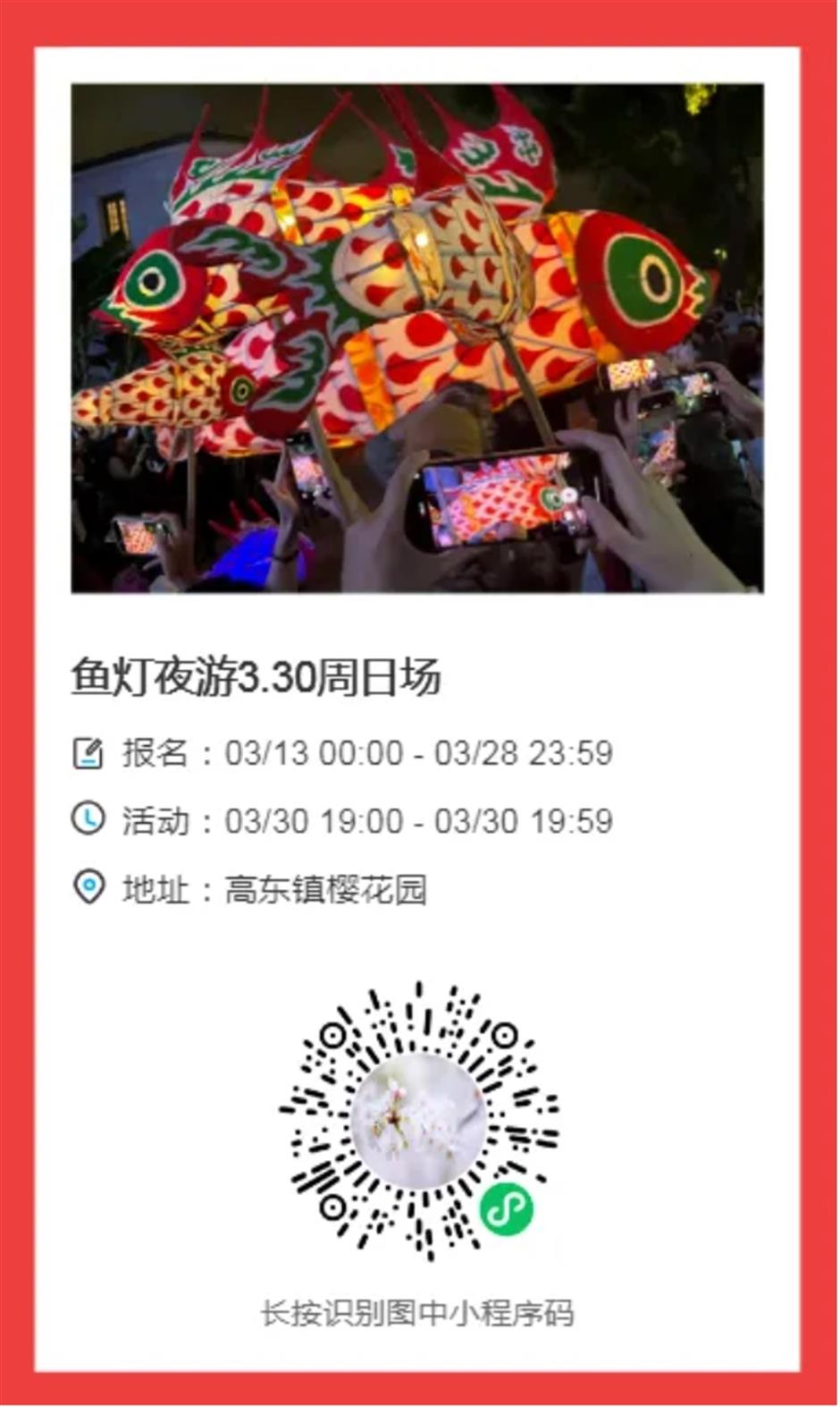 最美賞櫻遊玩路線來了,還有隱藏玩法