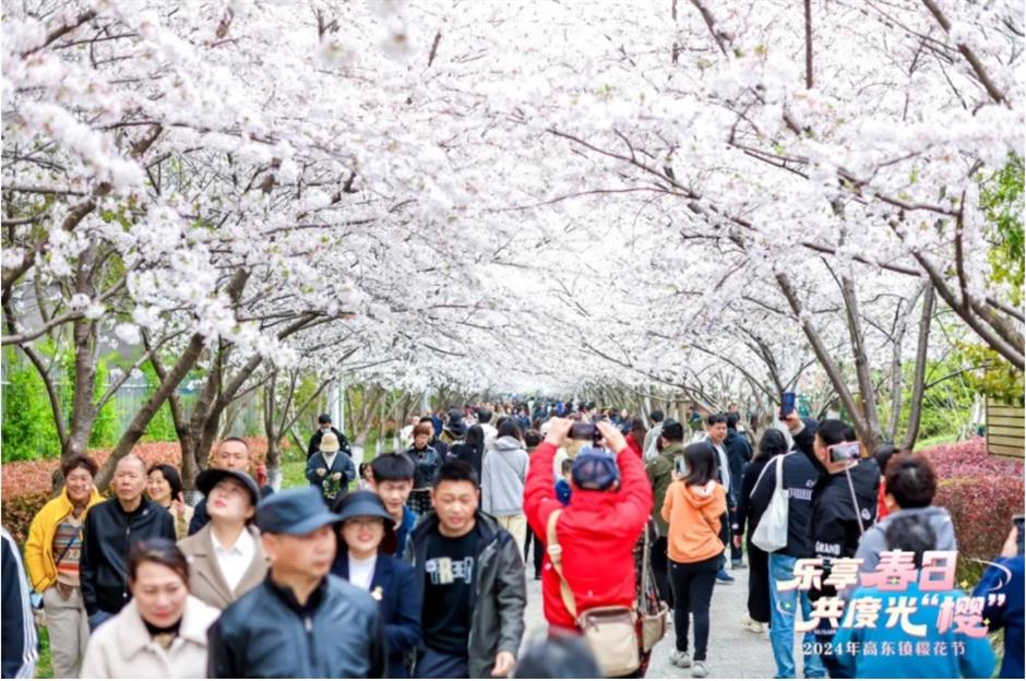 最美賞櫻遊玩路線來了,還有隱藏玩法