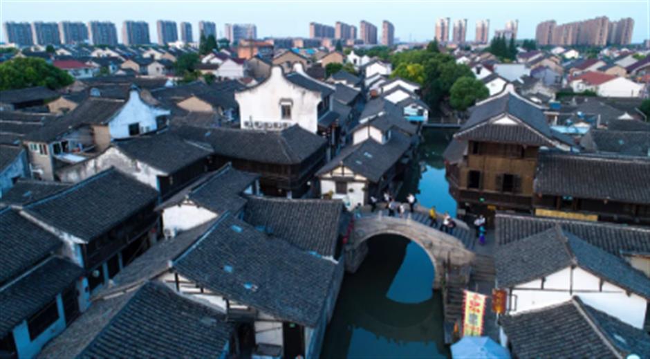 春天来到上海！
在这个免费入场的江南水乡，
一口气感受春天的清新。