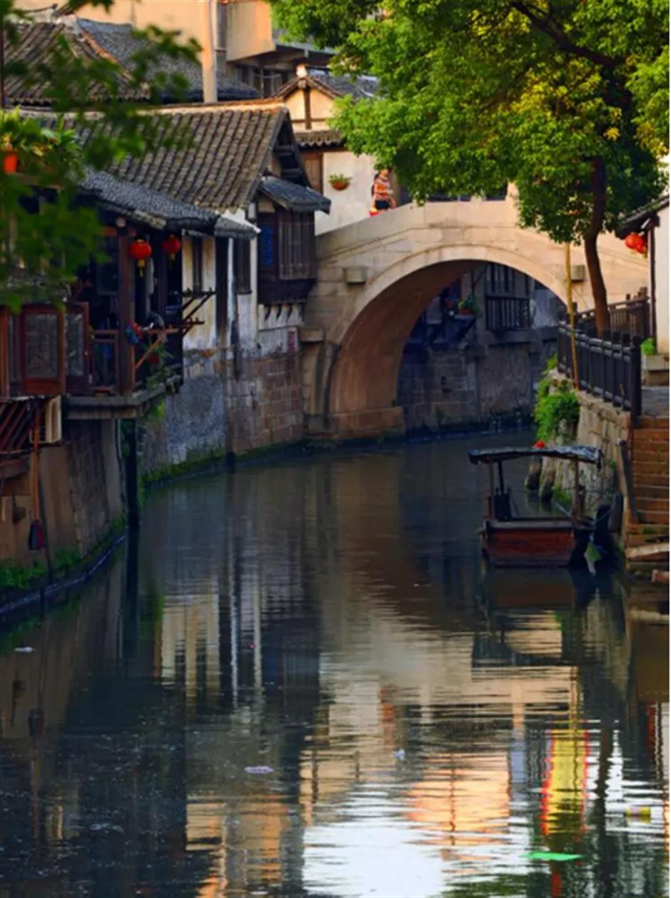 春天来到上海！
在这个免费入场的江南水乡，
一口气感受春天的清新。